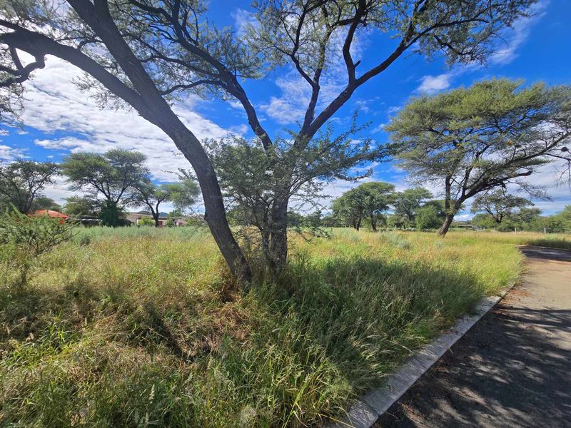 Camelthorn Estate, Okahandja:  CORNER, RIVER VIEW PLOT is for Sale - Photo 4