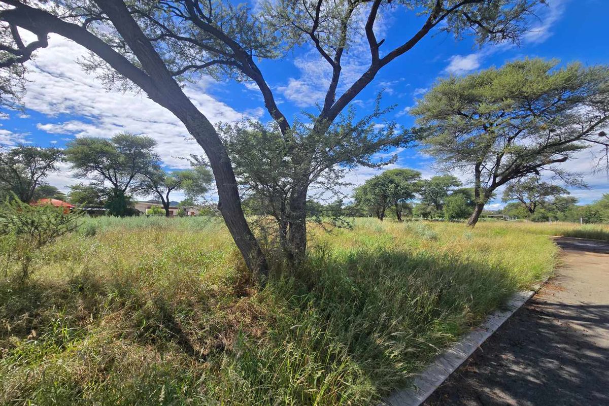 Camelthorn Estate, Okahandja:  CORNER, RIVER VIEW PLOT is for Sale - Photo 4