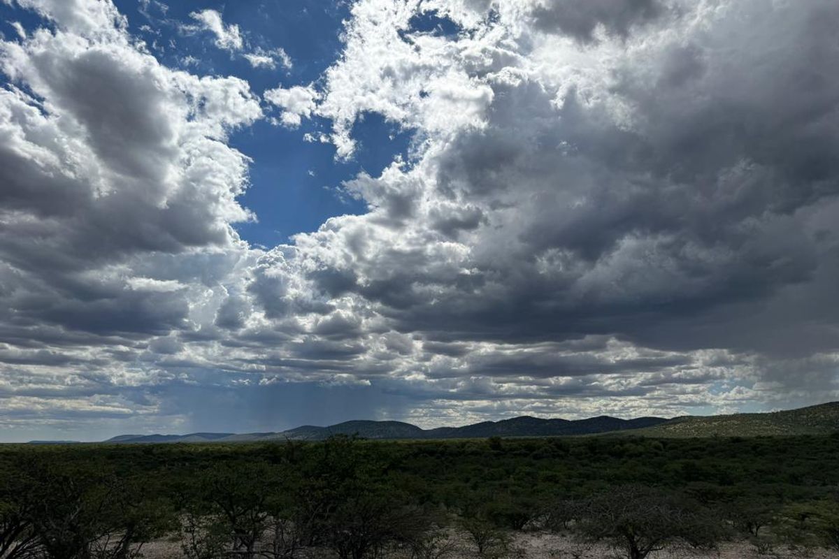 CLASSIC NAMIBIAN LODGE FOR SALE – OUTJO DISTRICT - Photo 4