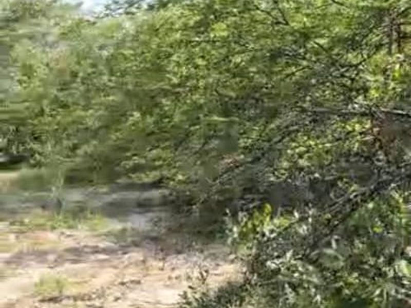 Farm For Sale - Photo 10