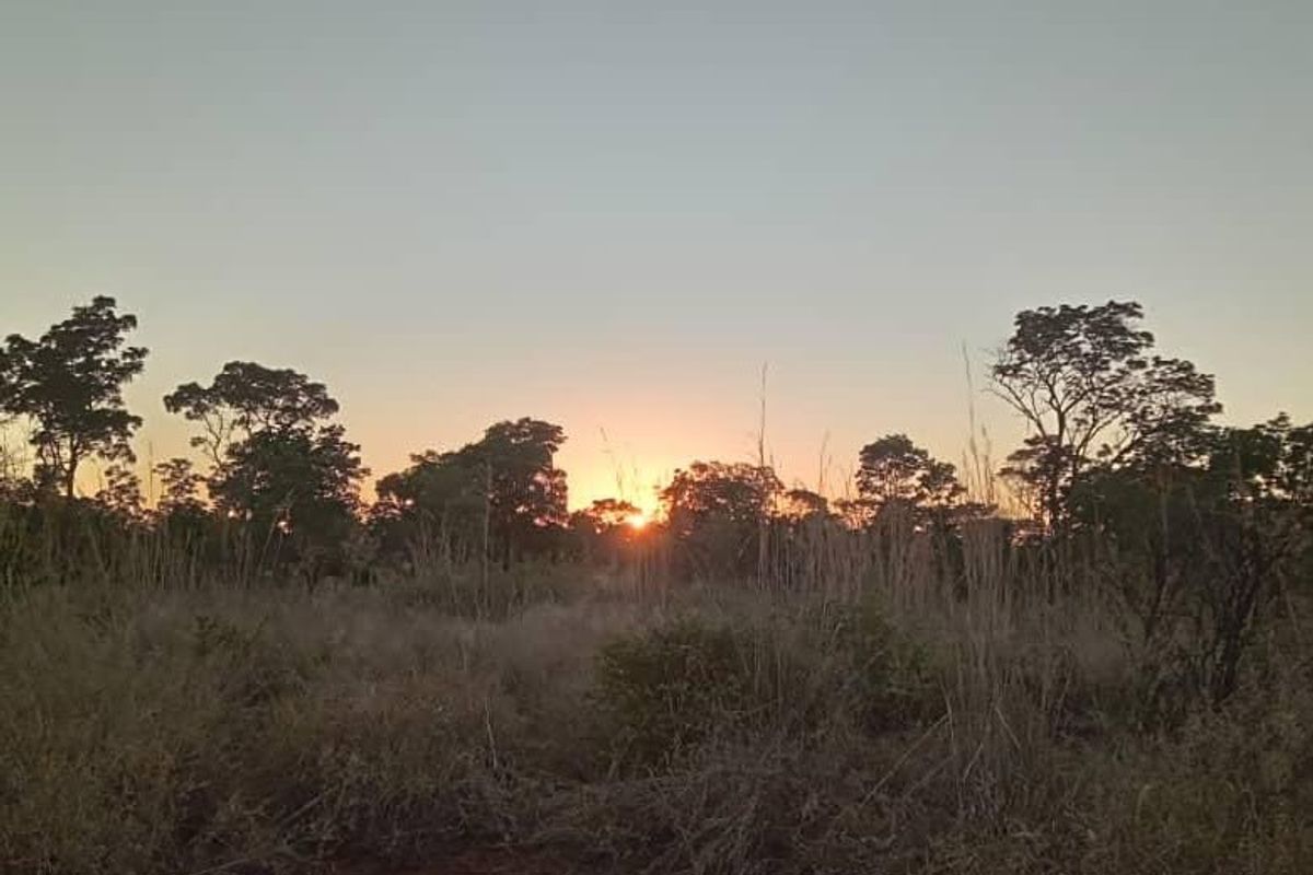 A scenic view of the farm landscape at sunset, featuring natural vegetation and open fields.