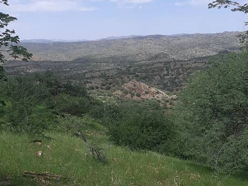 Agricultural Farm with Diverse Potential - Photo 6