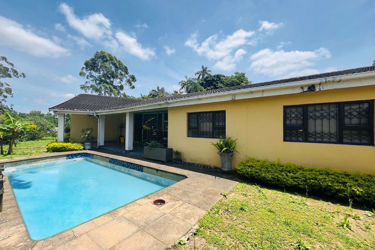 Rear view of the house featuring a swimming pool, covered patio area, and established garden space.