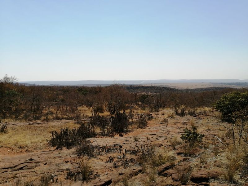 Build your dream retirement in the bushveld - Photo 6