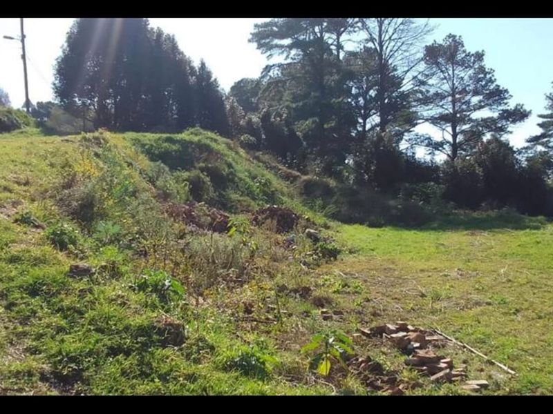 ELEVATED TERRACED VACANT LAND IN BOTHAS HILL - Photo 10