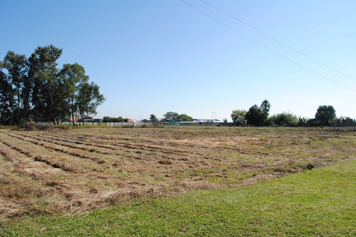 Fantastic Developer's opportunity within the lucrative developing suburb Riversdal Meyerton - Photo 3