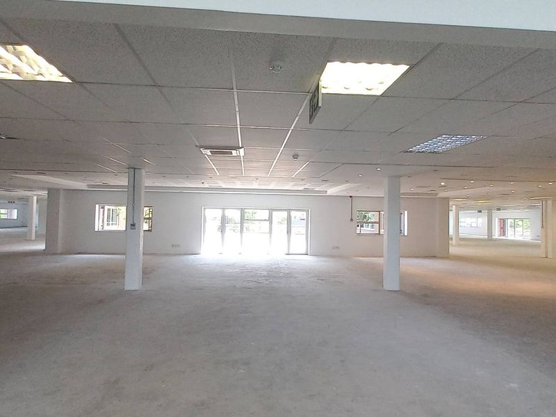 A spacious, open-plan office area featuring a suspended ceiling, recessed lighting, and structural support columns, offering a versatile layout for various business configurations.