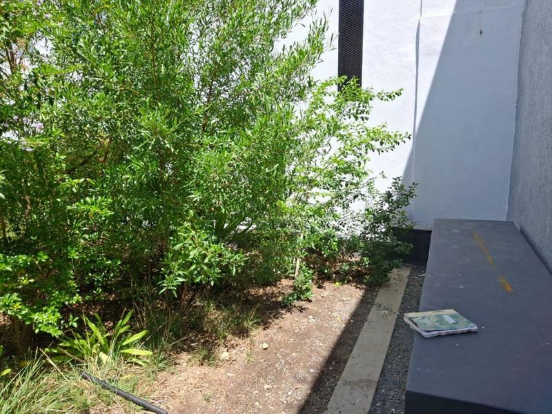 Prime Hospitality Investment Opportunity - Photo 5