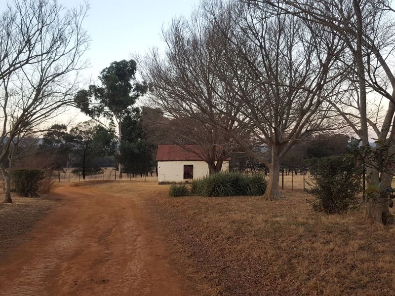 Farm for Sale - Photo 4