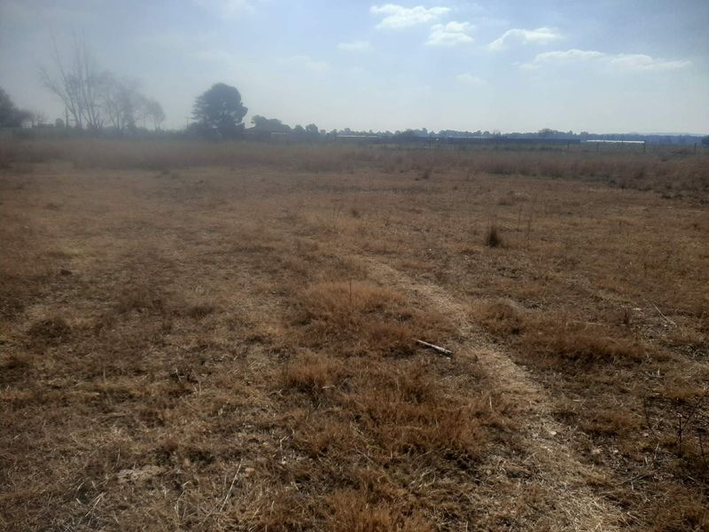 1Ha small holding for farm produce and a contry living - Photo 6