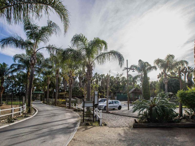 Nature Lovers paradise in the heart of the Boland - Photo 3