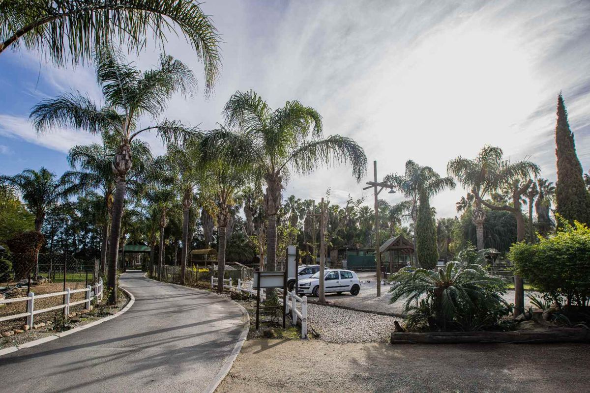 Nature Lovers paradise in the heart of the Boland - Photo 3