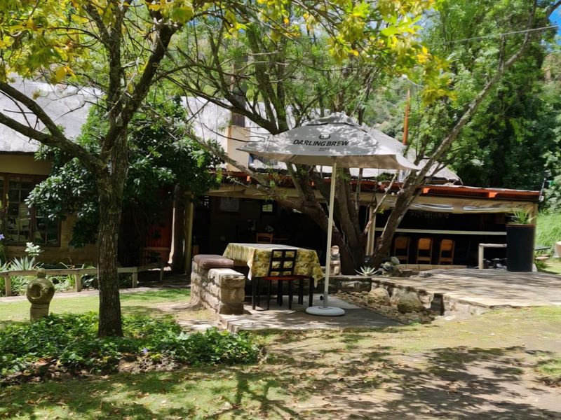 A Landmark Lifestyle Investment at the Gateway to Lesotho - Photo 10