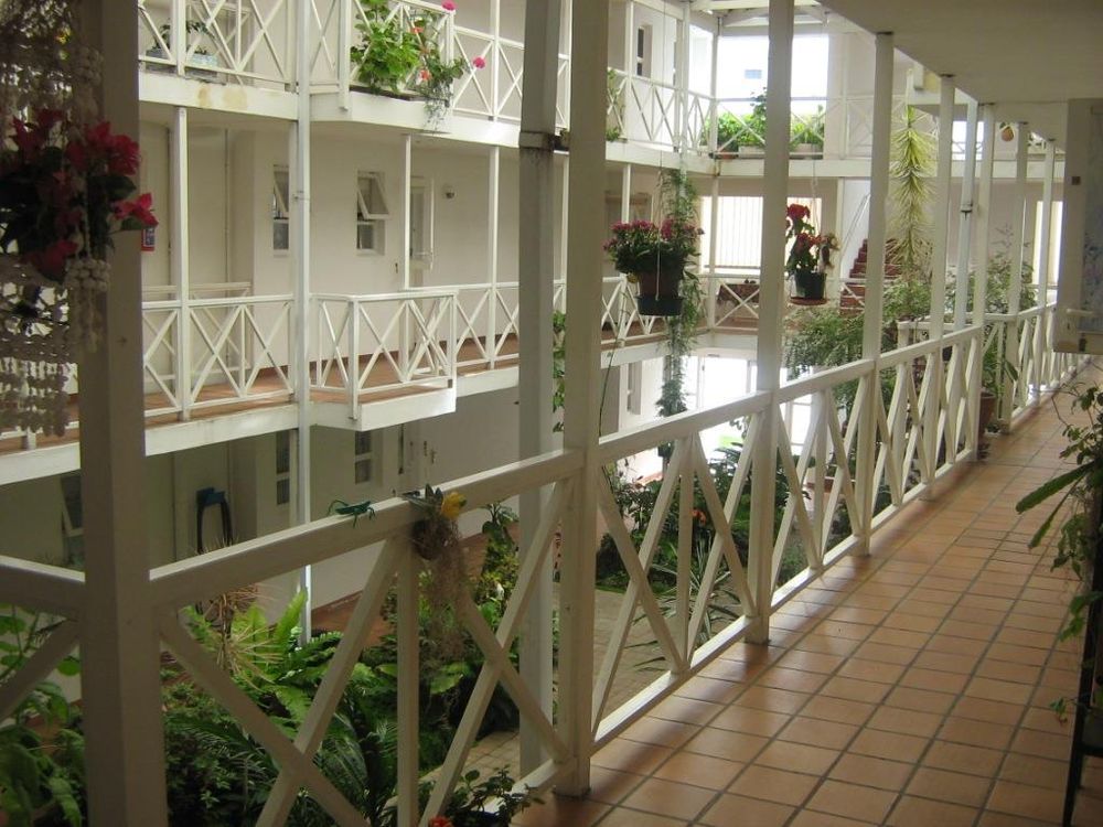 Indoor garden