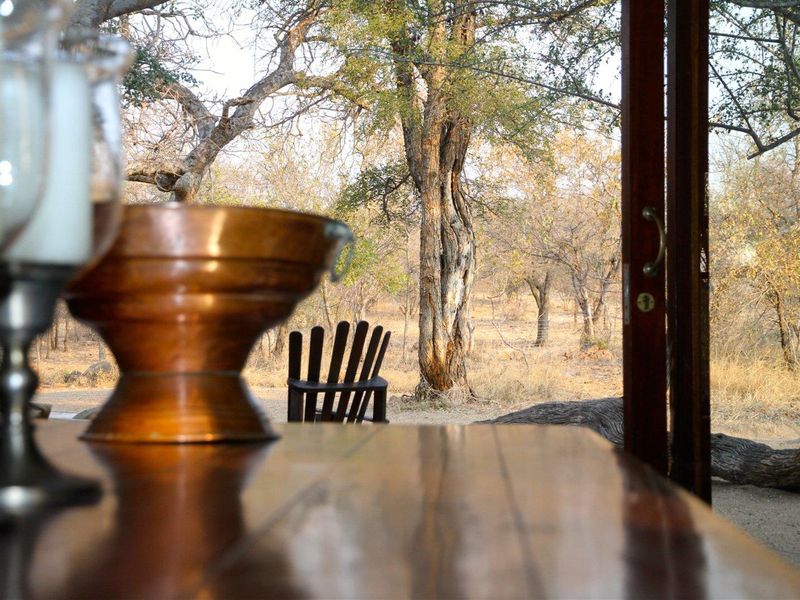 Exclusive to Century 21 Wildlife Properties, A Tranquil Bushveld Retreat near Hoedspruit - Photo 9