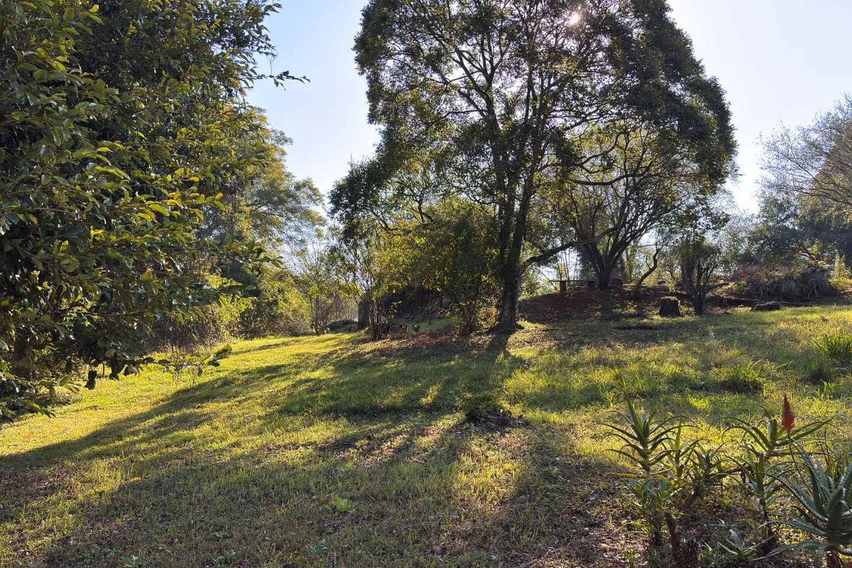 Prime Development Land for Sale in Howick - 17471m2 with Exceptional Exposure - Photo 4