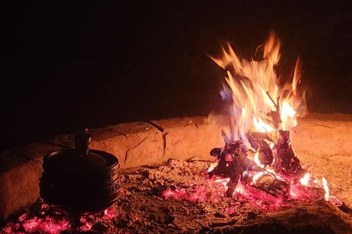 Prime Stand In Pristine Bushveld - Photo 3