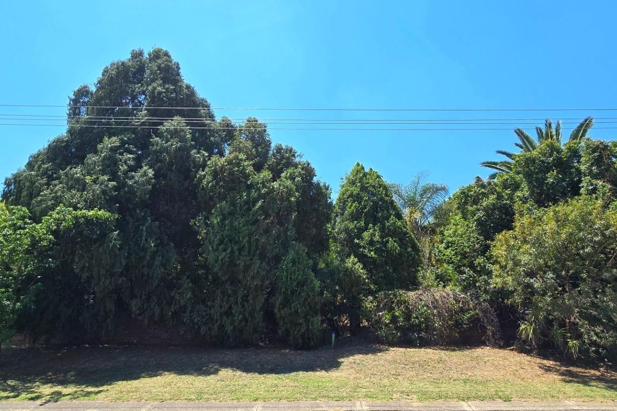 Orion's Belt - At Home Among the Stars - Photo 5