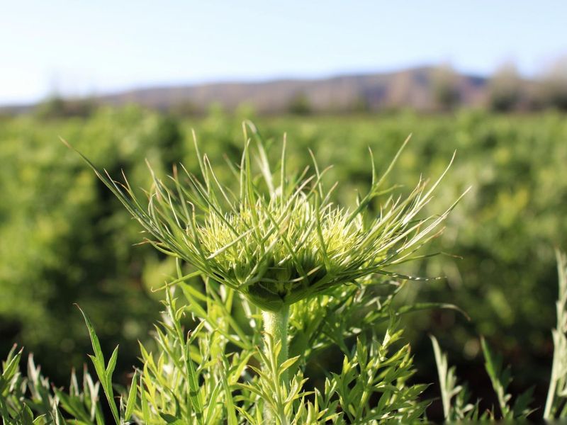 Wanted: Visionary Robust Investors/Developers!! - Photo 10