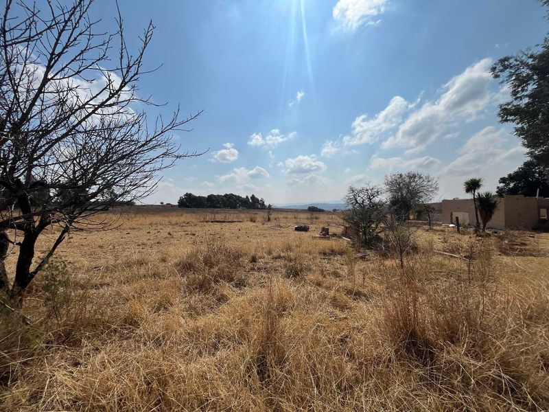 Huge Land with lots of potential - Photo 4