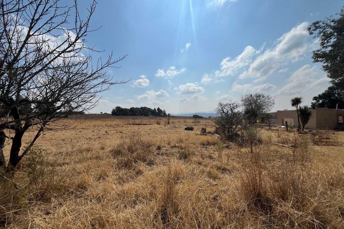 Huge Land with lots of potential - Photo 4