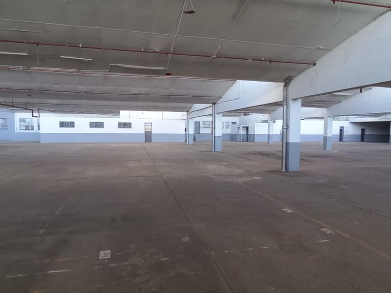 Industrial Property for Lease – Unit 03, Ben 05 - Photo 5