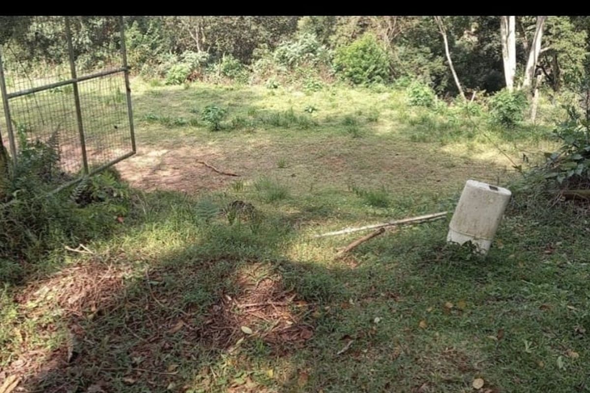 Stunning Vacant Land in Prime Hillcrest Location - Photo 2