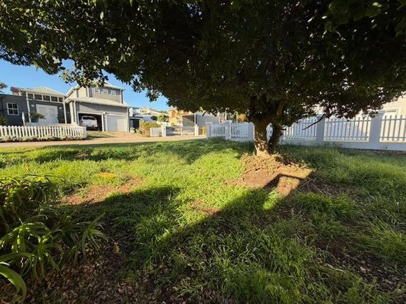 A residential plot featuring a mature tree and white picket fencing, currently with overgrown grass.