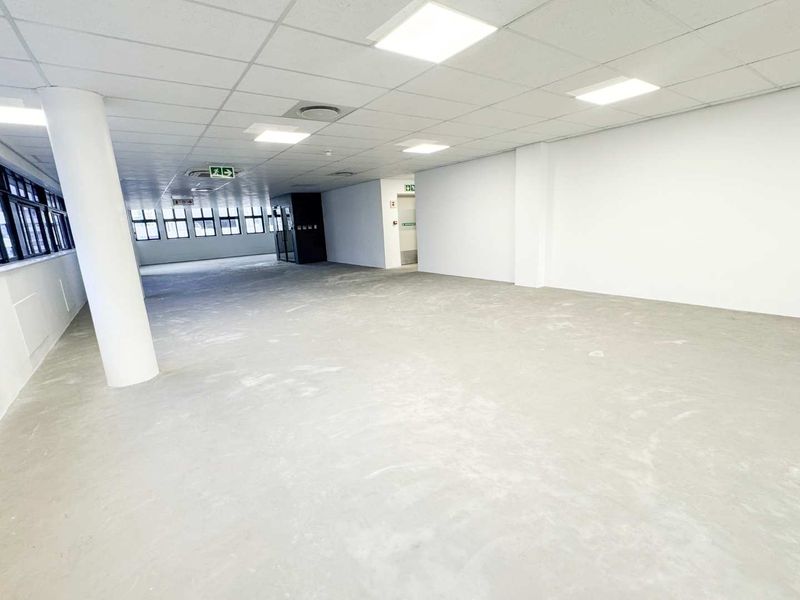 A spacious, open-plan office area featuring a suspended ceiling with recessed lighting, large windows for natural light, and an unfinished concrete floor.