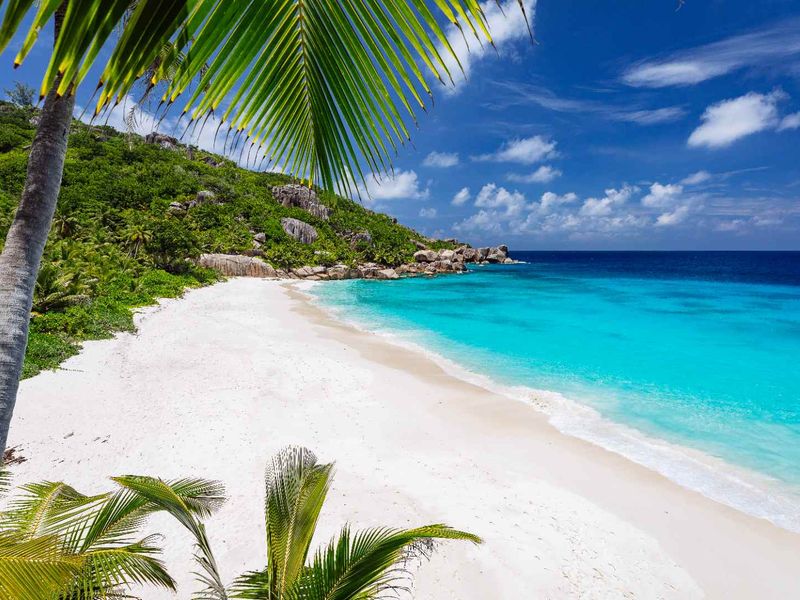 TOURISM DEVELOPMENT LAND IN PICTURE PERFECT PRASLIN - Photo 8