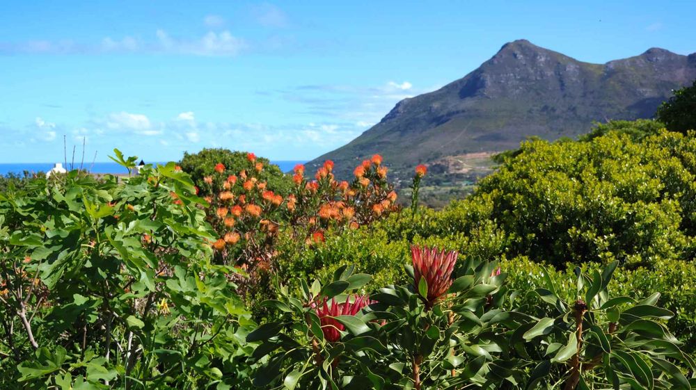 Stunning views in your landscaped garden