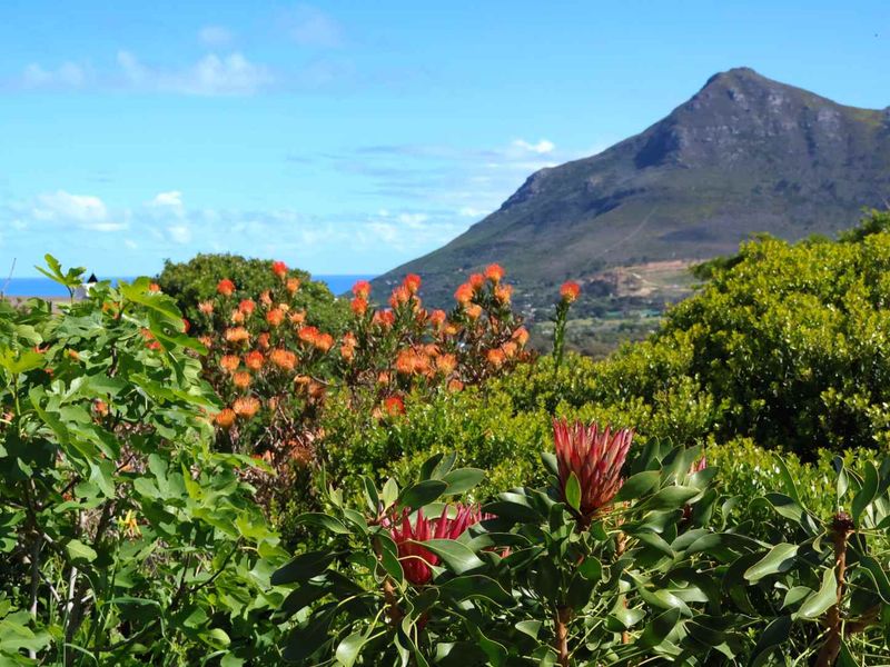 Cape Coastal Guest House and Performance Retreat - Photo 5