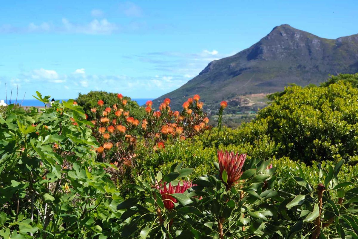Cape Coastal Guest House and Performance Retreat - Photo 5