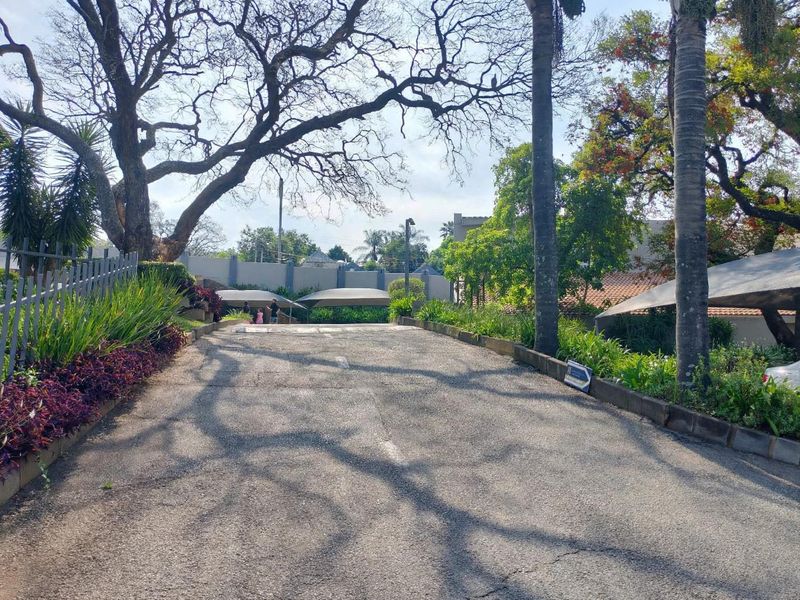 A paved driveway leading to the property entrance, featuring established trees, landscaped garden borders, and shade cloth carports for vehicle parking.