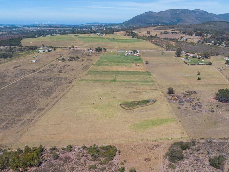 Dairy Farm for Sale, Eastern Cape - Photo 6