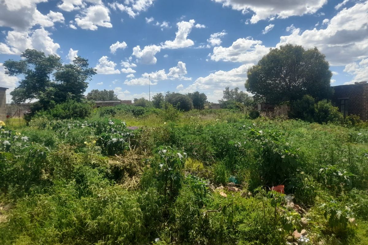 Vacant land botshabelo. - Photo 4