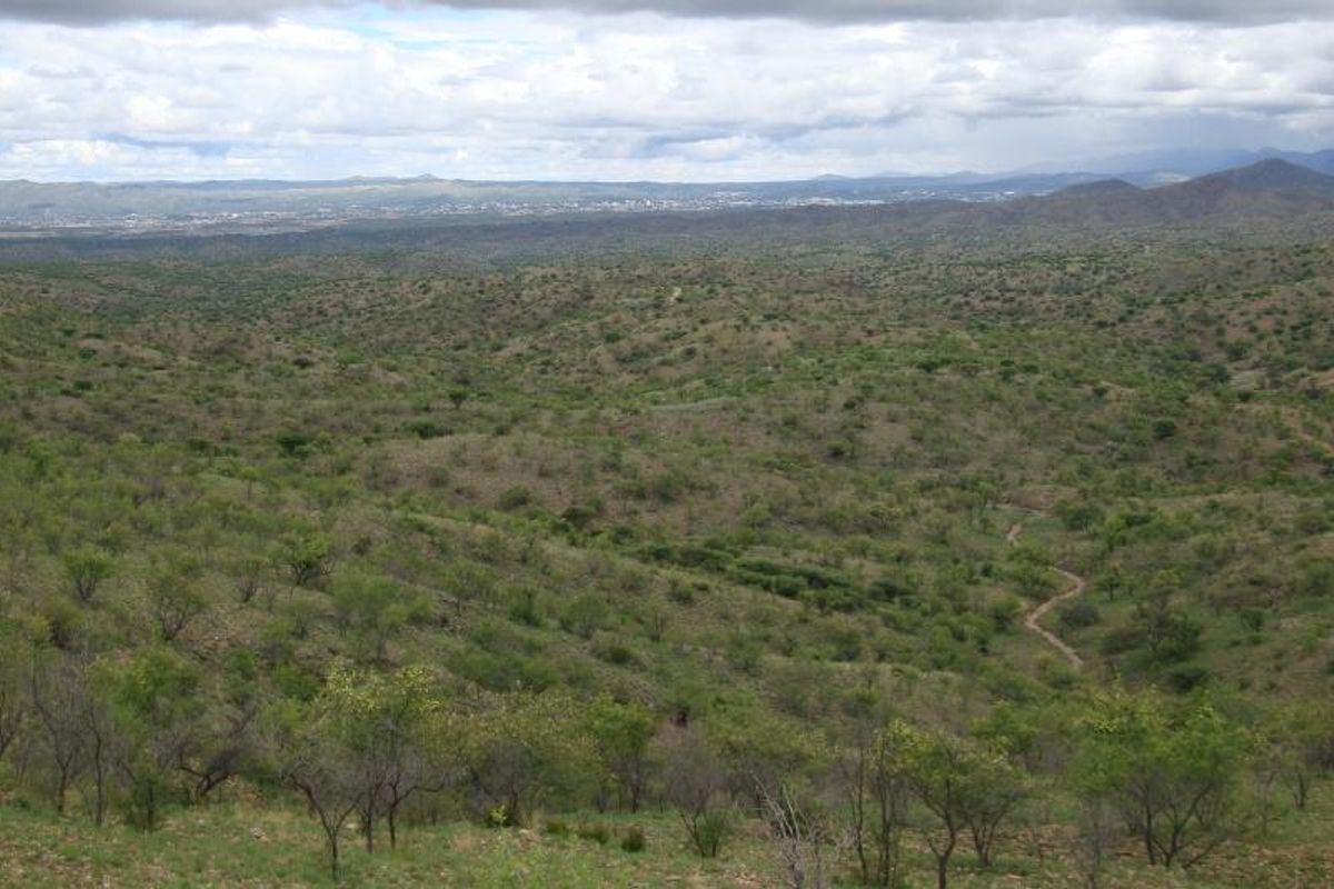 A wide-angle view of the expansive natural landscape, featuring rolling hills and native vegetation under a cloudy sky.