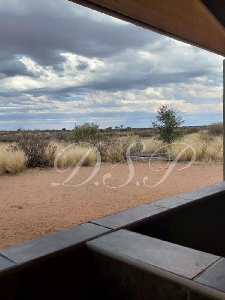 camp - view