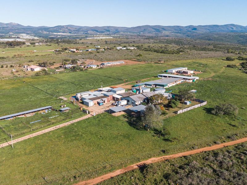 Open Realty Presents, Hillcrest Farm Abattoir – Uitenhage Area - Photo 7