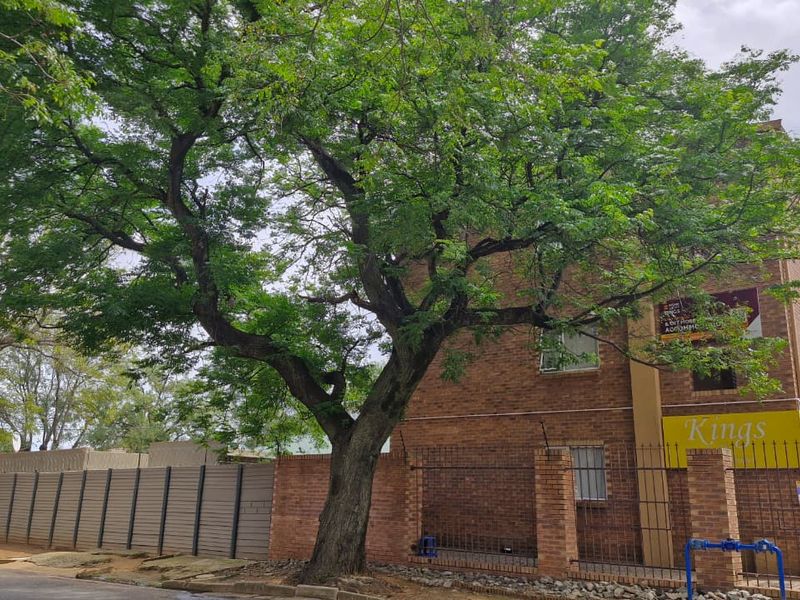 Modern 2-Bedroom Haven at The Kings: Style meets Central Convenience - Photo 3