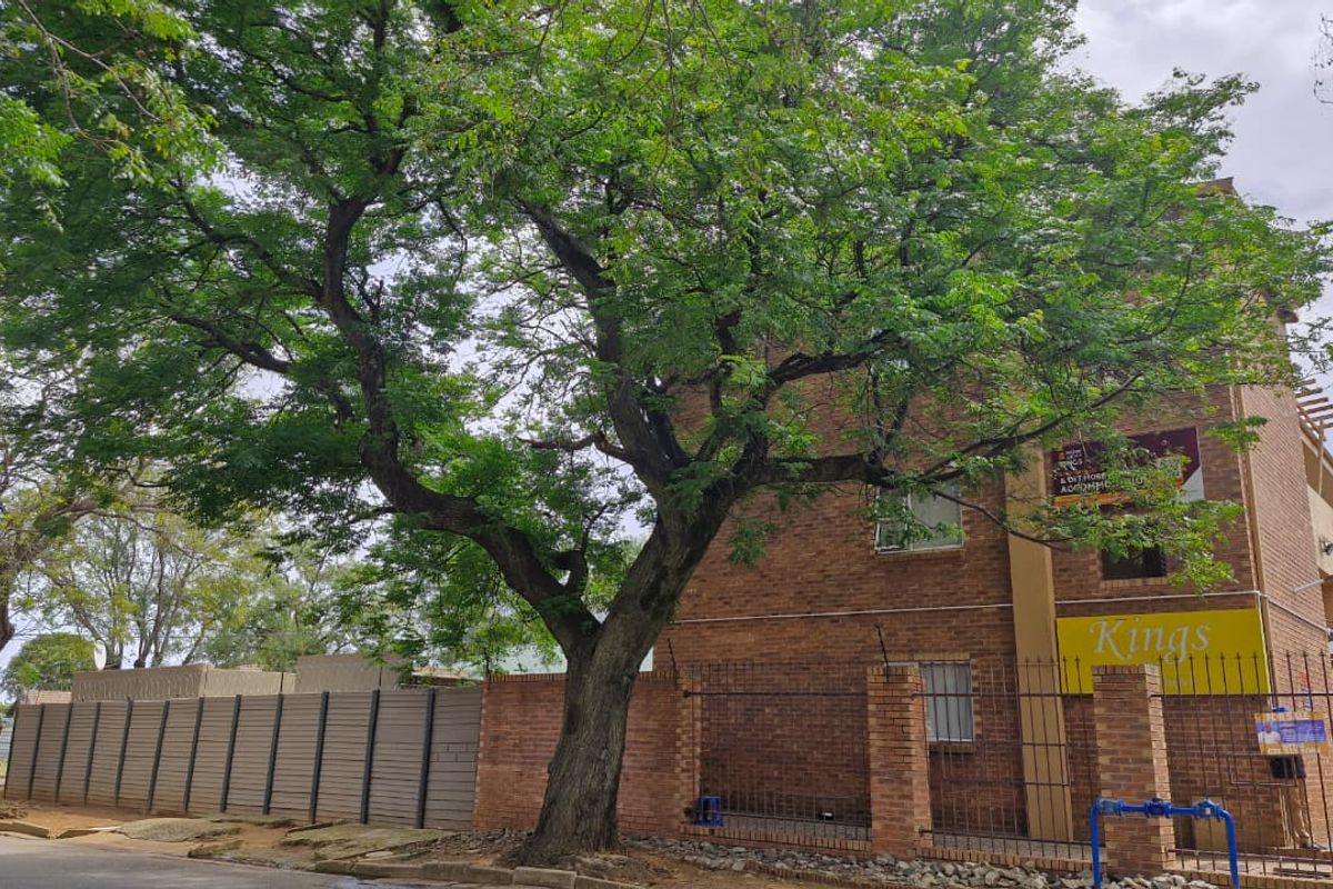 Modern 2-Bedroom Haven at The Kings: Style meets Central Convenience - Photo 3