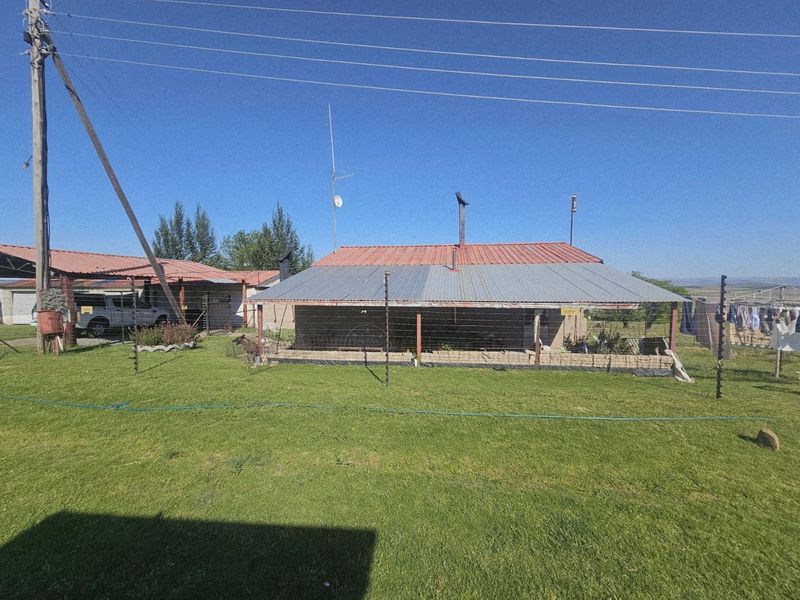 Well-Watered Mixed-Farming Opportunity in the Ladybrand District - Photo 7