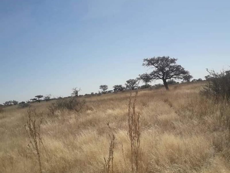 South Rehoboth - Photo 3