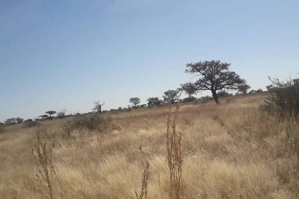 South Rehoboth - Photo 3