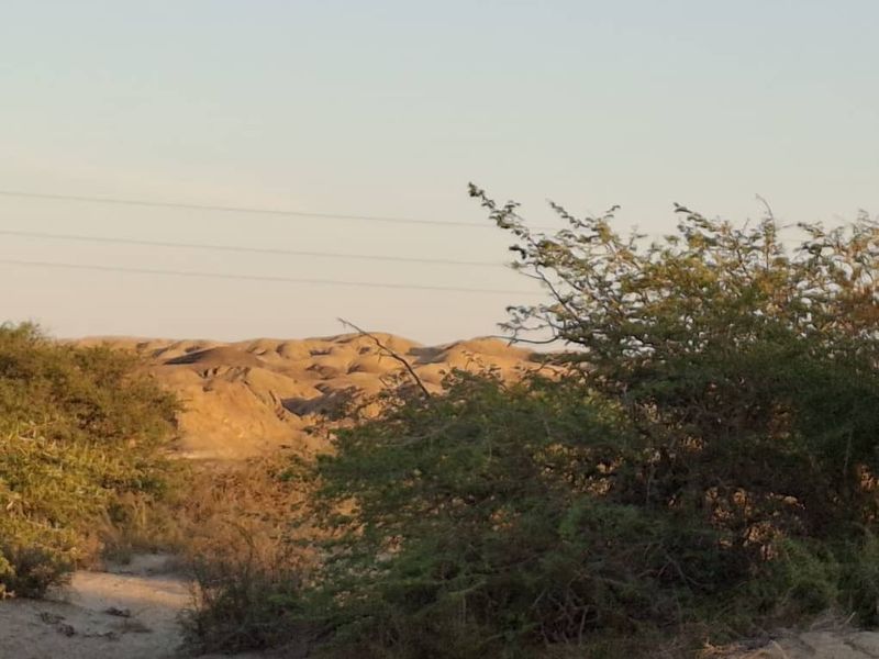 A scenic landscape view featuring natural terrain and native vegetation, with visible overhead power lines crossing the horizon.