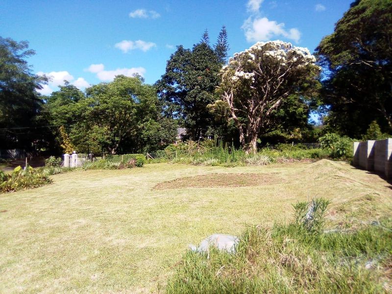 Super Find- Rare Gem of Land in WInston Park - Photo 6