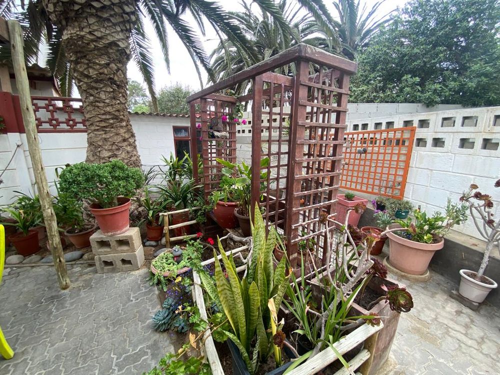 Inner courtyard garden
