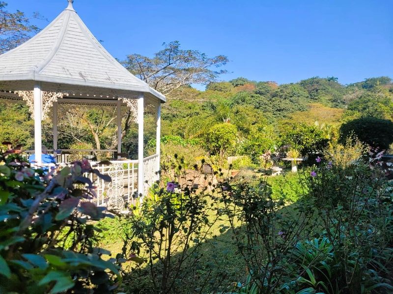 Charming Double-Volume 2-Bedroom Home with Study – Available to Rent - Photo 9