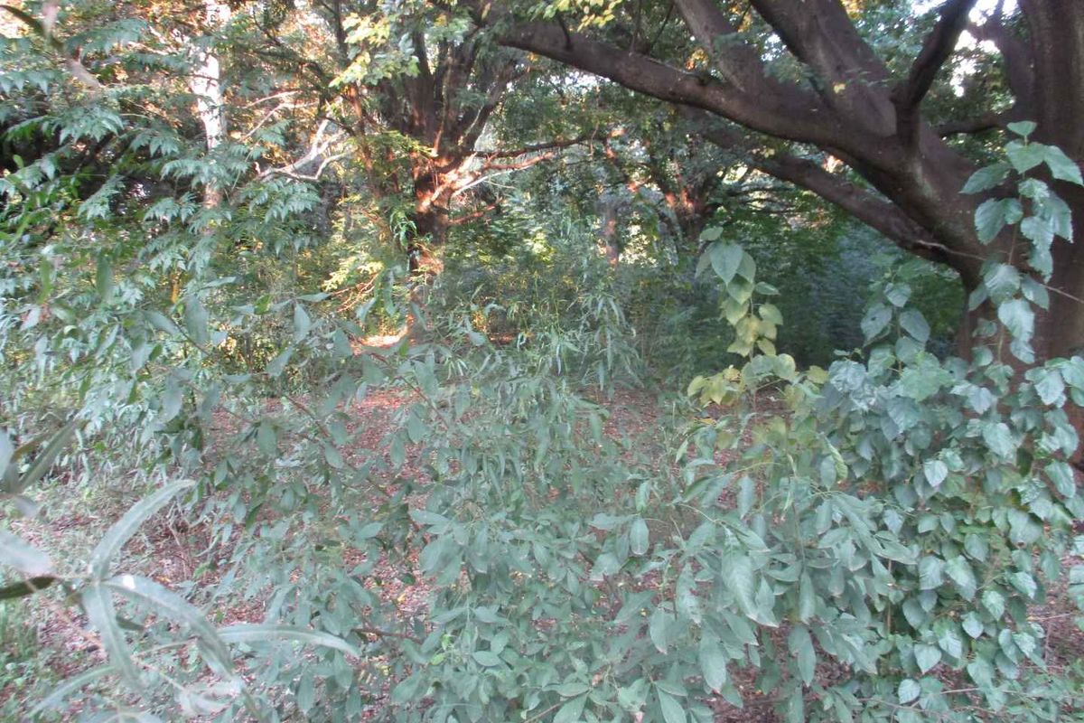 Tranquility - Photo 5