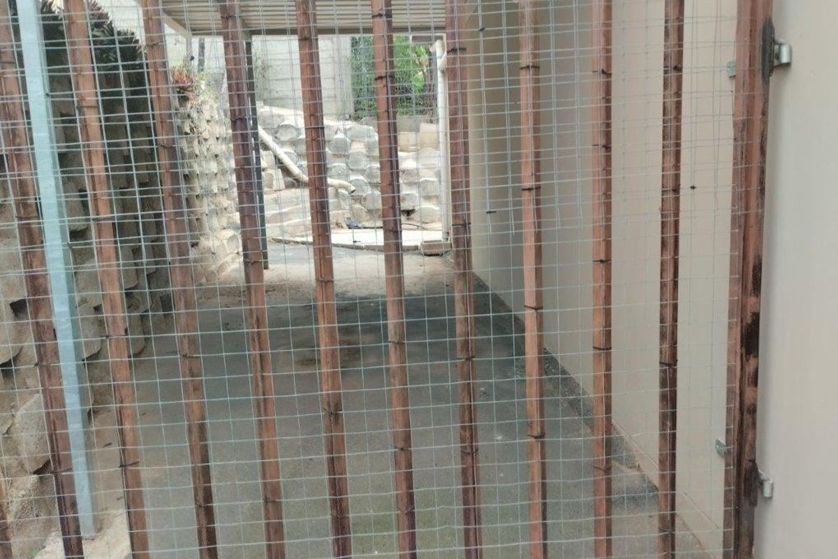 A narrow rear exterior passage featuring a concrete walkway, retaining wall, and a wire mesh security gate.